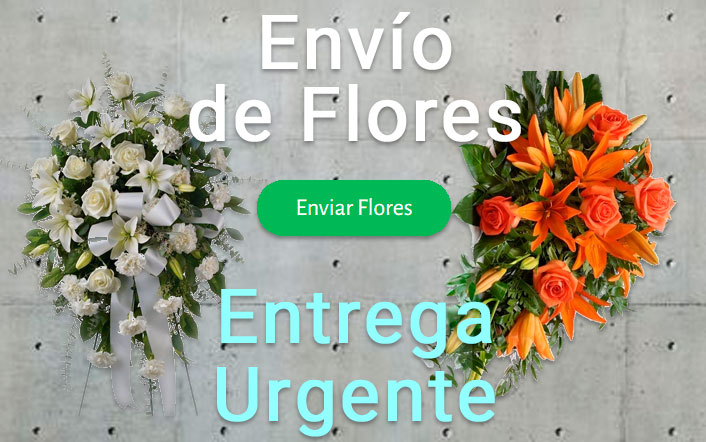 Envio de flores urgente a Tanatorio Granollers